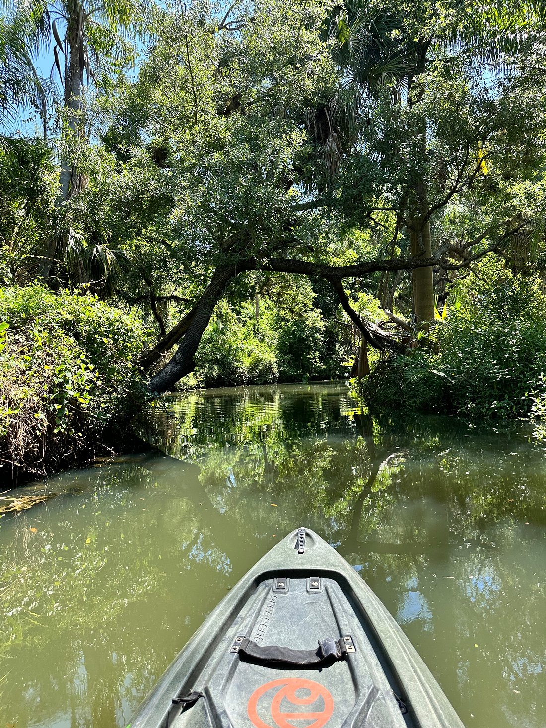 Estero River9